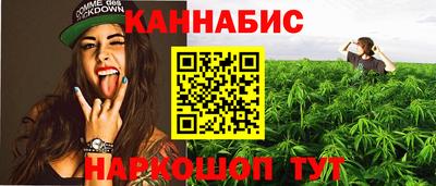 стаф Донской