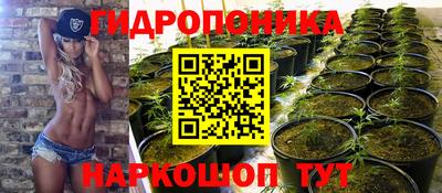 стаф Донской