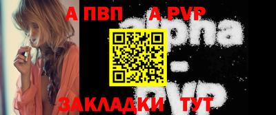 стаф Донской