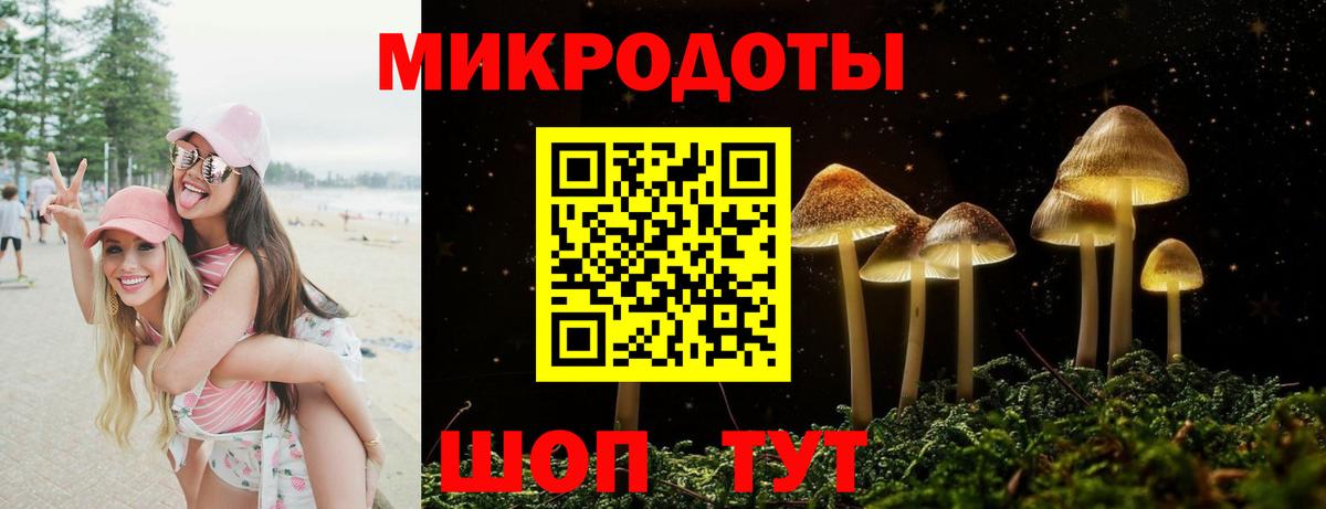 Галлюциногенные грибы Cubensis Междуреченск